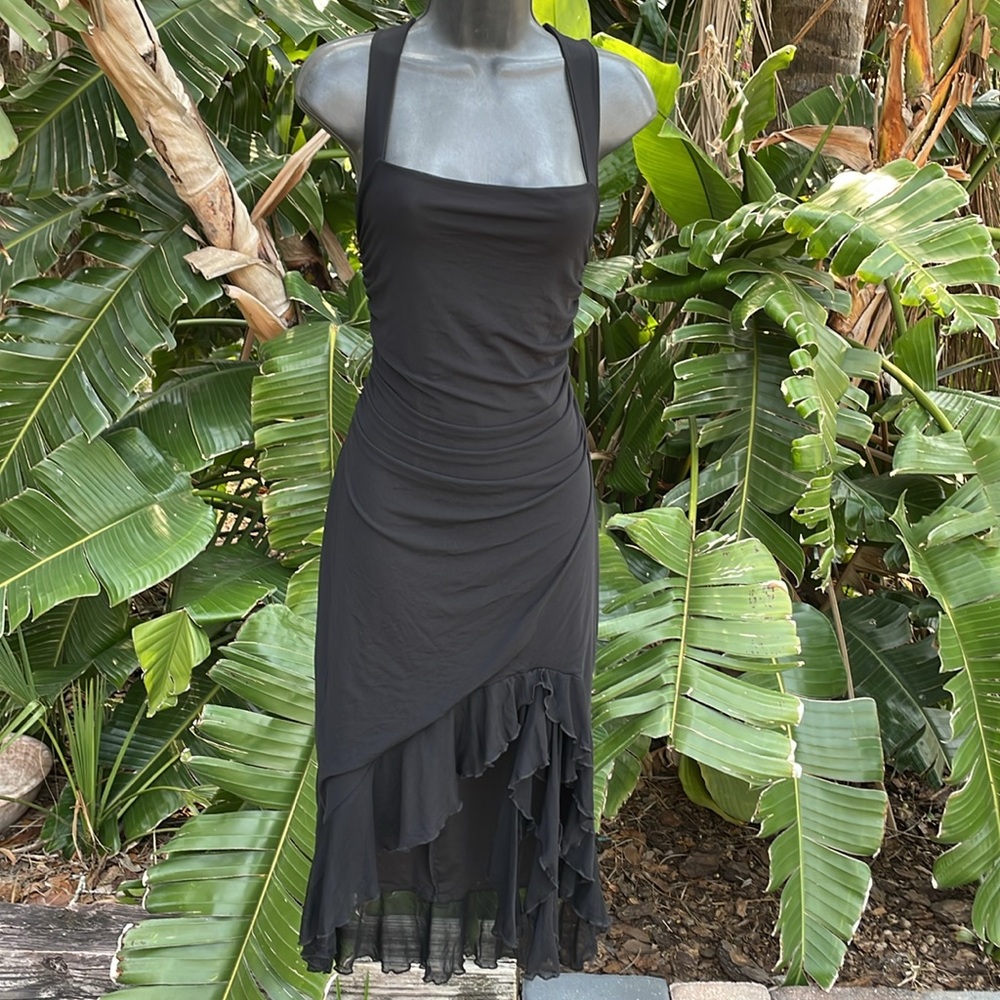 Sheer mesh asymmetric ruffle dress with ruffled hem and fringe - Picture 4 of 9